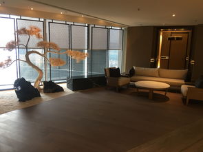 一场不失水准的丽思体验 普通客房的诚意与服务哲学